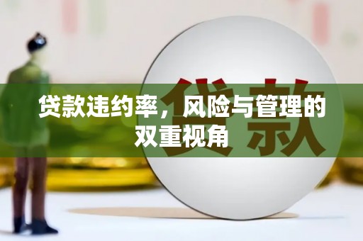 竹南贷款违约率，风险与管理的双重视角