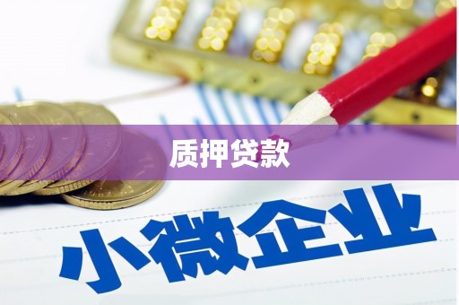 竹南质押贷款