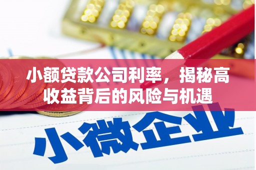 竹南小额贷款公司利率，揭秘高收益背后的风险与机遇