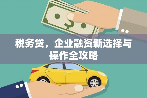竹南税务贷，企业融资新选择与操作全攻略