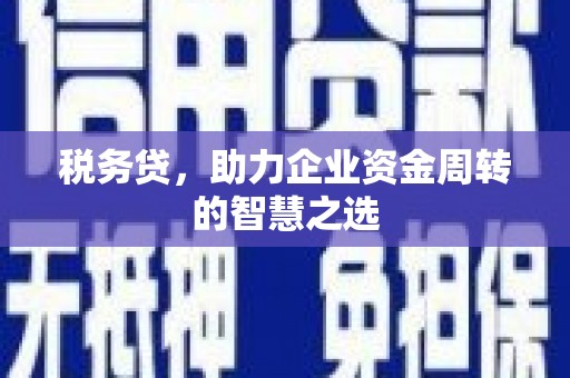 竹南税务贷，助力企业资金周转的智慧之选