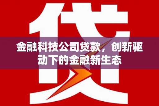 竹南金融科技公司贷款，创新驱动下的金融新生态