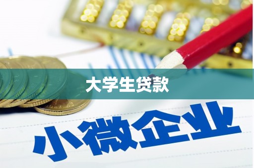 竹南大学生贷款