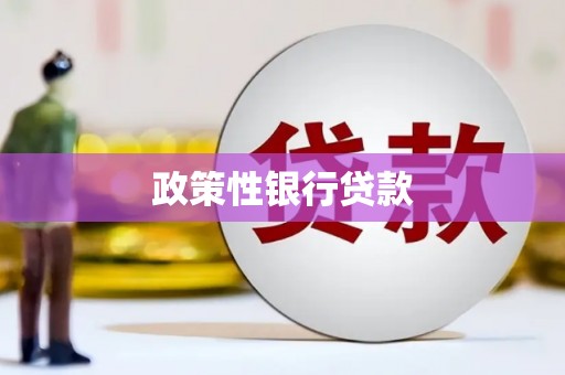 竹南政策性银行贷款
