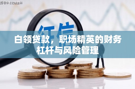 竹南白领贷款，职场精英的财务杠杆与风险管理