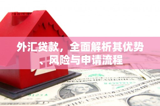 竹南外汇贷款，全面解析其优势、风险与申请流程