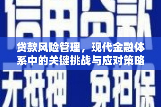 竹南贷款风险管理，现代金融体系中的关键挑战与应对策略