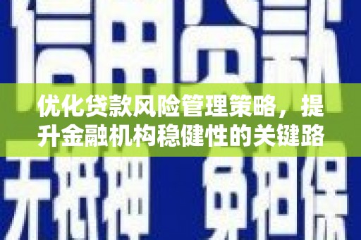 竹南优化贷款风险管理策略，提升金融机构稳健性的关键路径