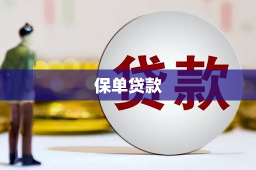 竹南保单贷款