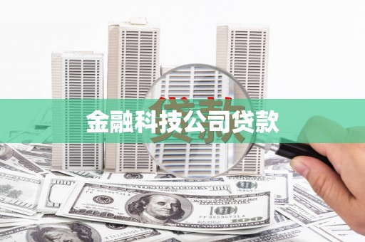 竹南金融科技公司贷款