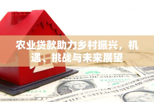 竹南农业贷款助力乡村振兴，机遇、挑战与未来展望