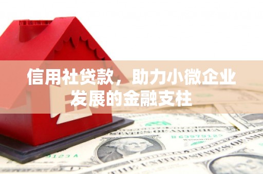 竹南信用社贷款，助力小微企业发展的金融支柱