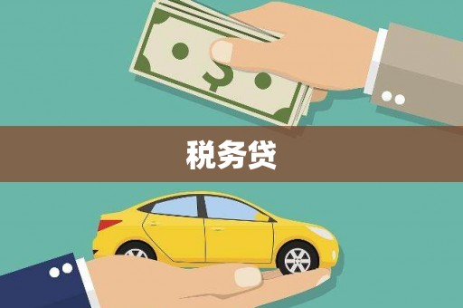 竹南税务贷