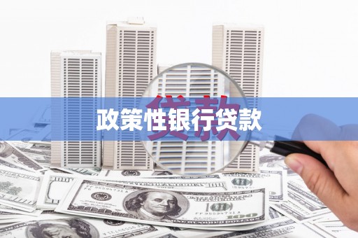 竹南政策性银行贷款