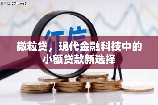 竹南微粒贷，现代金融科技中的小额贷款新选择