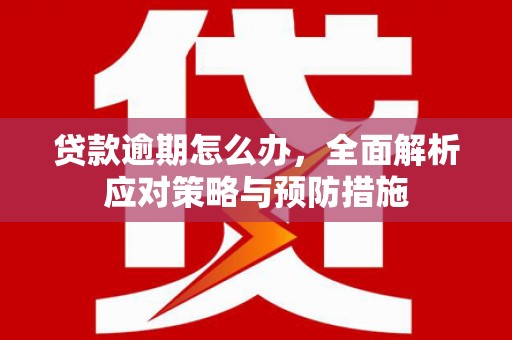 竹南贷款逾期怎么办，全面解析应对策略与预防措施