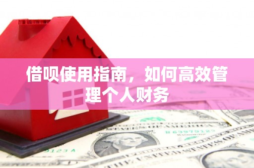 竹南借呗使用指南，如何高效管理个人财务