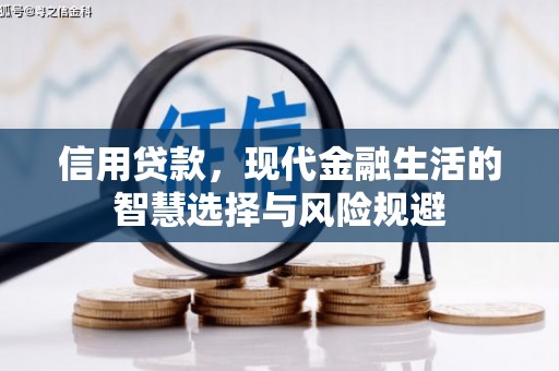 竹南信用贷款，现代金融生活的智慧选择与风险规避