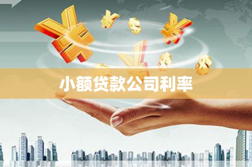 竹南小额贷款公司利率