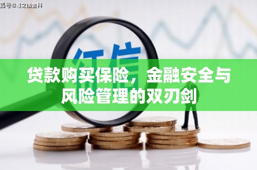 竹南贷款购买保险，金融安全与风险管理的双刃剑