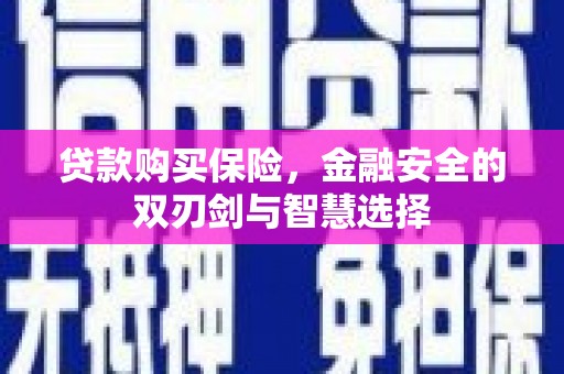 竹南贷款购买保险，金融安全的双刃剑与智慧选择