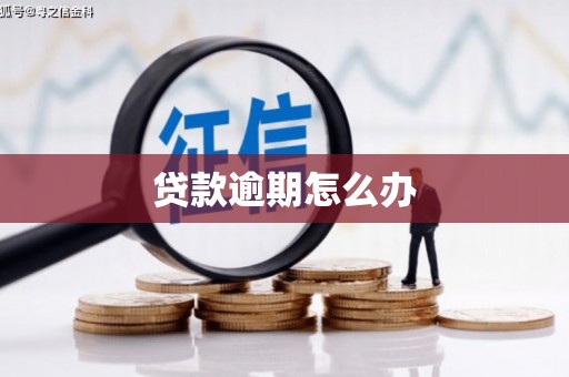 竹南贷款逾期怎么办