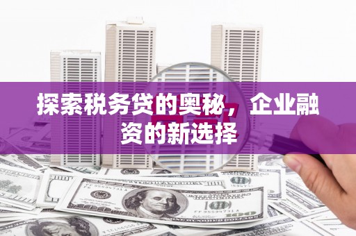 竹南探索税务贷的奥秘，企业融资的新选择