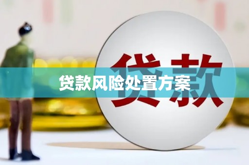 竹南贷款风险处置方案
