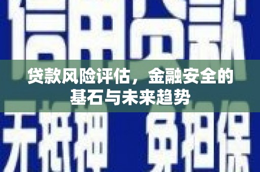 竹南贷款风险评估，金融安全的基石与未来趋势