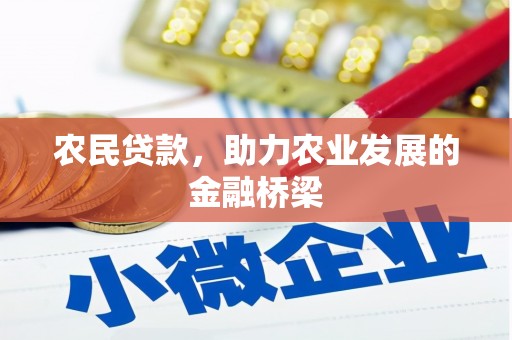 竹南农民贷款，助力农业发展的金融桥梁