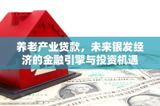竹南养老产业贷款，未来银发经济的金融引擎与投资机遇