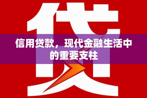 竹南信用贷款，现代金融生活中的重要支柱