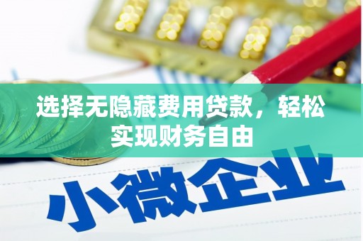 竹南选择无隐藏费用贷款，轻松实现财务自由