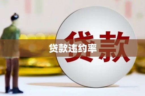 竹南贷款违约率