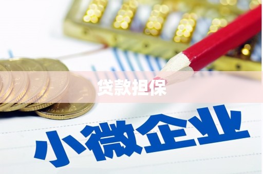竹南贷款担保