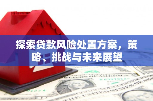 竹南探索贷款风险处置方案，策略、挑战与未来展望