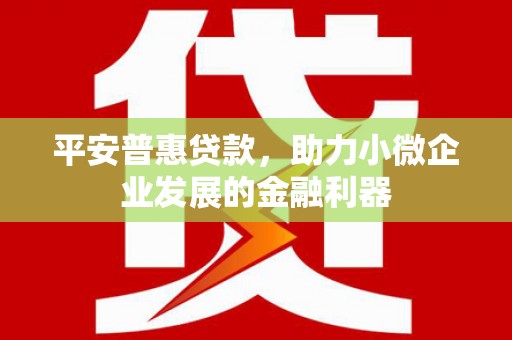 竹南平安普惠贷款，助力小微企业发展的金融利器
