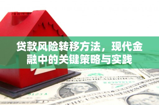 竹南贷款风险转移方法，现代金融中的关键策略与实践