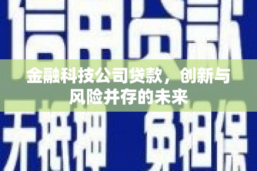 竹南金融科技公司贷款，创新与风险并存的未来