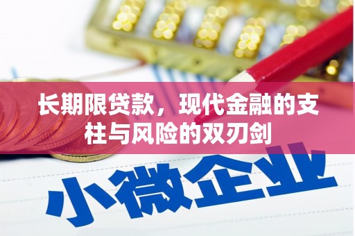 竹南长期限贷款，现代金融的支柱与风险的双刃剑