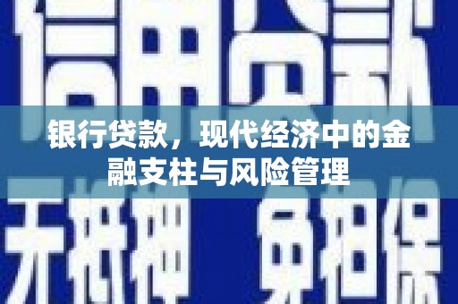 竹南银行贷款，现代经济中的金融支柱与风险管理