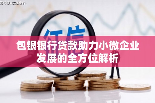 竹南包银银行贷款助力小微企业发展的全方位解析 竹南包银银行贷款助力小微企业发展的全方位解析