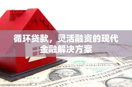 竹南循环贷款，灵活融资的现代金融解决方案