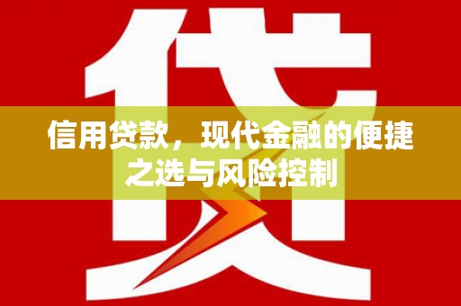 竹南信用贷款，现代金融的便捷之选与风险控制