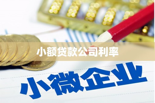 竹南小额贷款公司利率