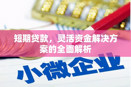 竹南短期贷款，灵活资金解决方案的全面解析