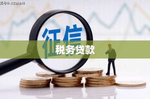 竹南税务贷款