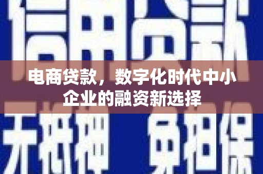 竹南电商贷款，数字化时代中小企业的融资新选择