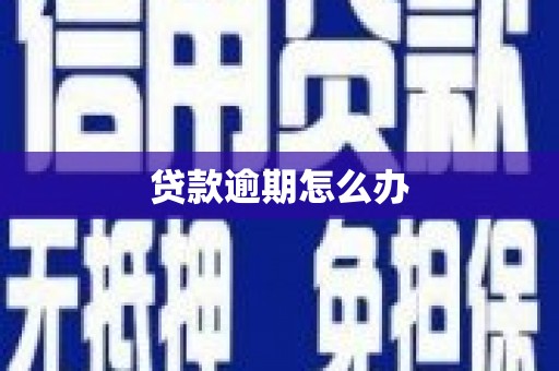 竹南贷款逾期怎么办