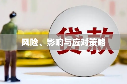 竹南风险、影响与应对策略